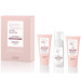 Набор для кератинового выпрямления волос Alfaparf Lisse Design Intro KIT Express Method