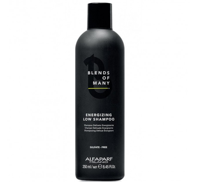 Укрепляющий шампунь для мужчин против выпадения волос Alfaparf Blends Of Many Energizing Low Shampoo