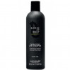 Укрепляющий шампунь для мужчин против выпадения волос Alfaparf Blends Of Many Energizing Low Shampoo
