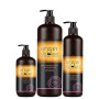 Шампунь проти лупи Argan De Luxe Anti-Dandruff 2 In 1 Shampoo