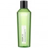 Лечебный шампунь против перхоти Ducastel Subtil Color Lab Instant Detox Shampoing Antipelliculaire