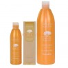 Шампунь с аргановым маслом FarmaVita Argan Sublime Shampoo