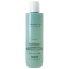 Шампунь для контроля жирности кожи головы и волос FarmaVita Amethyste Advance Regulate Sebo Control Shampoo