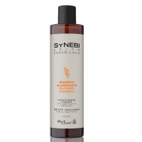 Шампунь для блеска Helen Seward Synebi Glowing Shampoo 