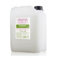 Шампунь для блеска с экстрактом имбиря Helen Seward Emulpon Ginger Shampoo
