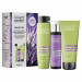 Дисциплинирующий набор Helen Seward Mediter Absolute Curl Trio