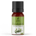 Масло эвкалипт Nefertiti Eucalyptus Pure Essential Oil