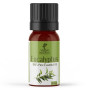 Масло эвкалипт Nefertiti Eucalyptus Pure Essential Oil