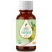 Масло виноградных косточек Nefertiti Grape Seed Oil