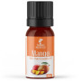 Масло манго Nefertiti Mango Pure Essential Oil