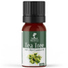 Масло чайного дерева Nefertiti Tea Tree Pure Essential Oil