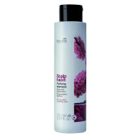 Шампунь против перхоти и шелушения кожи головы Nouvelle Scalp Habit Purifying Shampoo 