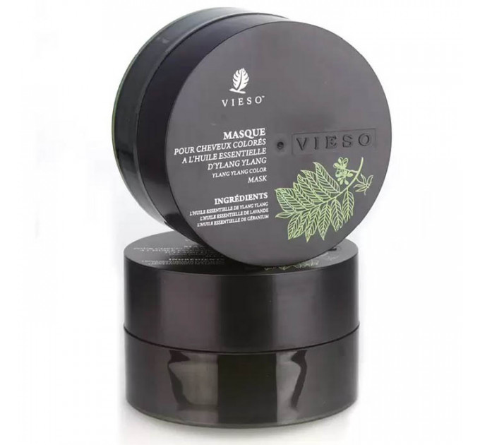 Защитная маска для окрашенных волос с иланг-илангом Vieso Ylang Ylang Essence Color Hair Mask