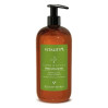Эликсир-концентрат для восстановления волос Vitality's Care & Style Ristrutturante Elixir Concentrate